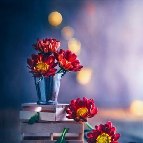 دانلود آهنگ آی لیلی جان لیلی می جان جانان لیلی
