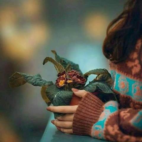 دانلود آهنگ کی بهتر از تو