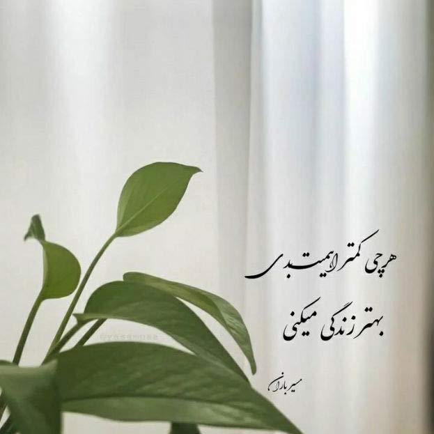 دانلود اهنگ مثل بارون اگه نباری خبر از حال من نداری