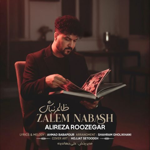 دانلود آهنگ علیرضا روزگار ظالم نباش