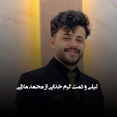 دانلود آهنگ لیلی و دمت گرم خدایی از محمد ملایی