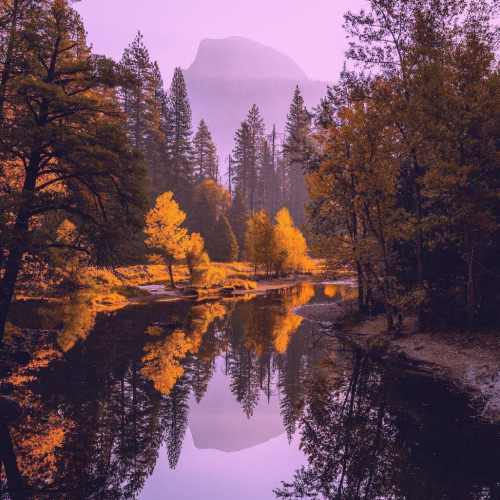 دانلود آهنگ آهوی پر کرشمه اومد به پای چشمه