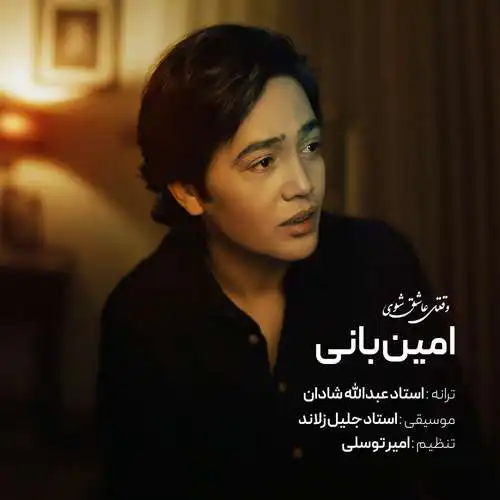 دانلود آهنگ امین بانی وقتی عاشق شوی