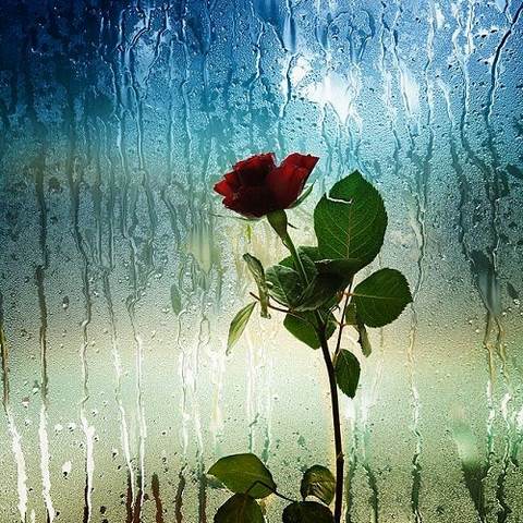 دانلود آهنگ بارون ببار حالمون مثل تالاب انزلیه