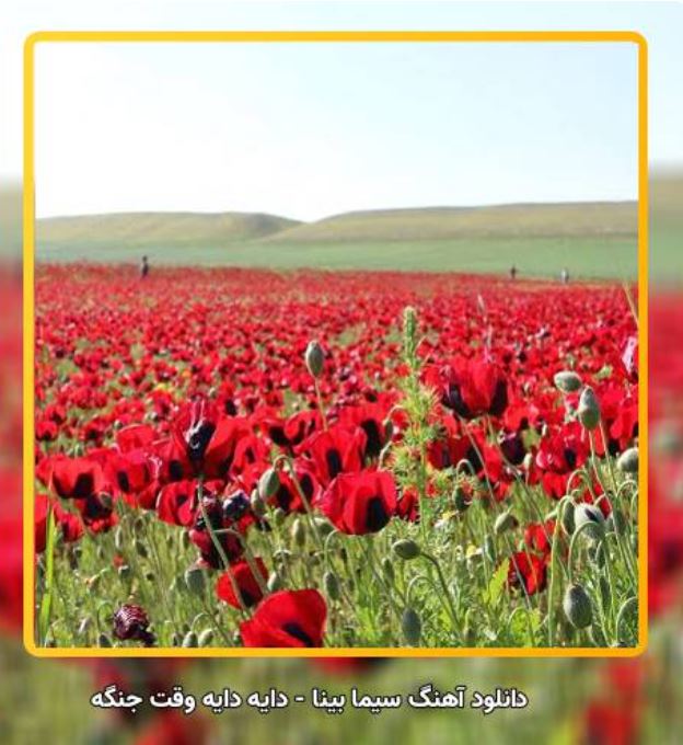 دانلود آهنگ دایه دایه وقت جنگه از سیما بینا