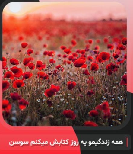 دانلود آهنگ سوسن همه زندگیمو یه روز کتابش میکنم