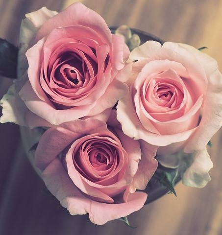 دانلود آهنگ هنگامه به نام قسم میخورم