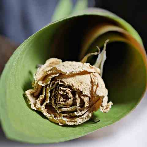 دانلود آهنگ این دروغارو به من نگو بچه