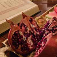 دانلود موزیک یلدایی فوق العاده شنیدنی و ترند “آهای خانوم یلدا خوش اومدی بفرما” از بابک افرا با بهترین کیفیت ممکن