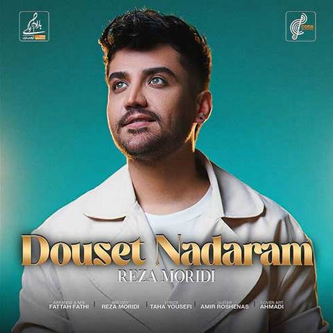 دانلود آهنگ رضا مریدی دوست ندارم