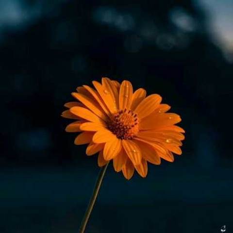 دانلود آهنگ دوباره پیداش میشه در خونه رو باز نکن