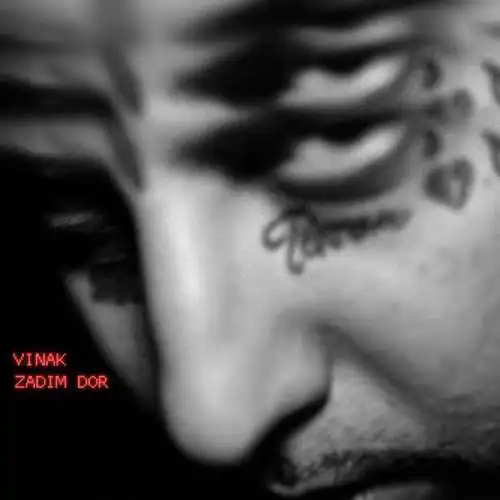 دانلود آهنگ ویناک زدیم دور