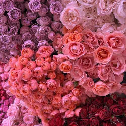 دانلود آهنگ آی هوار هوار هوارتا خاطرخواتوم هزارتا