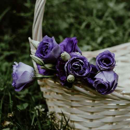 دانلود آهنگ جون میدم واسه قشنگیات قهر نکن نفسم بند میاد ساواش