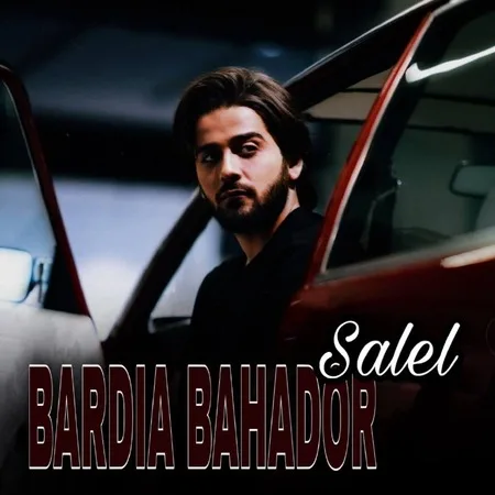 دانلود آهنگ بزار سر برم از تو دیگه گیره دلم بردیا بهادر