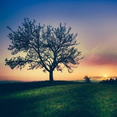 دانلود آهنگ خرابم کردی مازندرانی