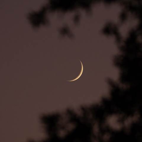 دانلود آهنگ خدا دلم ازت خیلی پره