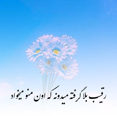 دانلود آهنگ رقیب بلا گرفته میدونه که اون منو میخواد
