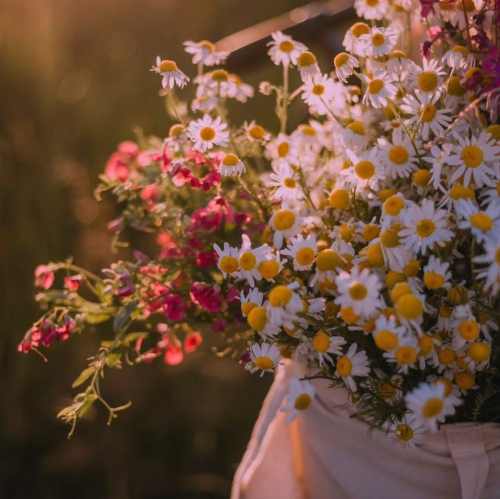 دانلود آهنگ یه روزی میرم در خونشون با گل و شیرینی