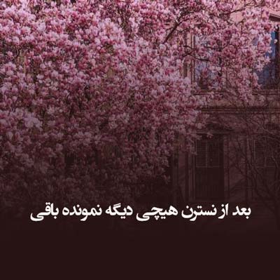 دانلود آهنگ بعد از نسترن هیچی دیگه نمونده باقی