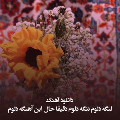 دانلود آهنگ لنگه دلوم تنگه دلوم دقیقا حال این آهنگه دلوم