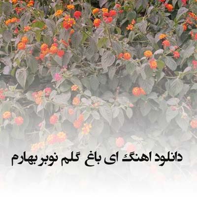 دانلود اهنگ ای باغ گلم نوبر بهارم