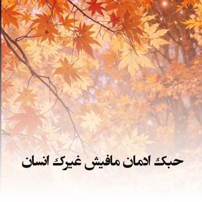 دانلود آهنگ حبک ادمان مافیش غیرک انسان
