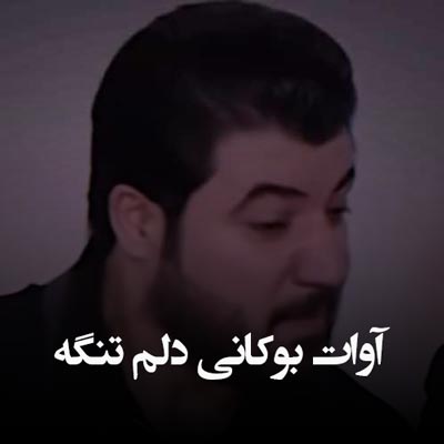 دانلود آهنگ آوات بوکانی دلم تنگه