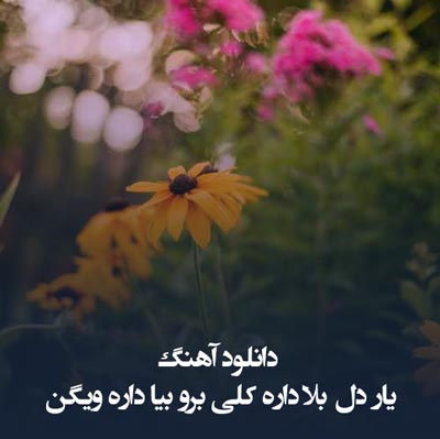 دانلود آهنگ یار دل بلا داره کلی برو بیا داره ویگن
