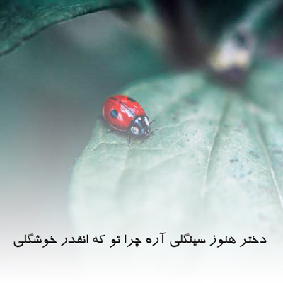 دانلود آهنگ دختر هنوز سینگلی آره چرا تو که انقدر خوشگلی