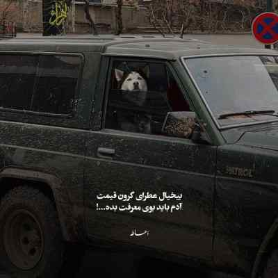 دانلود آهنگ داریوش دنیای این روزای من