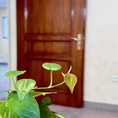 دانلود آهنگ یاندیردین قلبیمی آمان با صدای زن