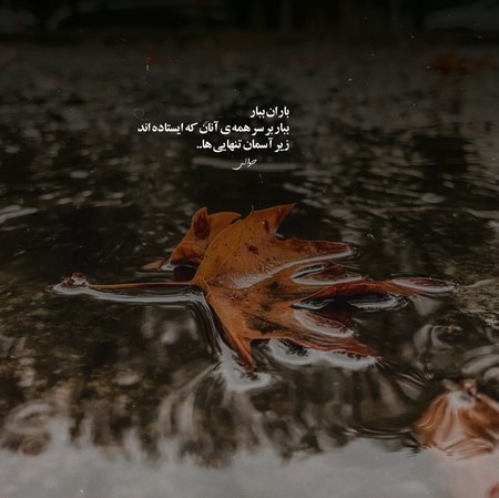 دانلود آهنگ دل نمیدونه عجب خطایی کرده با وجودی که همیشه پر درده از فتانه