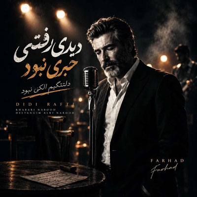 دانلود آهنگ دیدی رفتی خبری نبود دلتنگیم الکی نبود