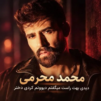 دانلود آهنگ دیدی بهت راست میگفتم دیوونم کردی دختر محمد محرمی