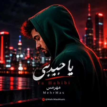 دانلود آهنگ عربی یا حبیبی ترند اینستا